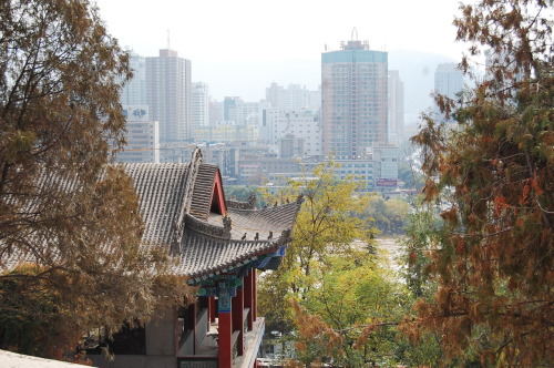 sommermonat: (25-28.10.2011) Lanzhou I just had one short night in Xining and left for Lanzhou 3h bu