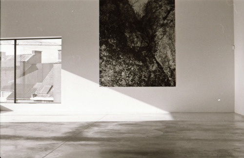 Dirk Braeckman
