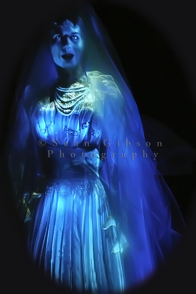 haunted mansion bride lowes