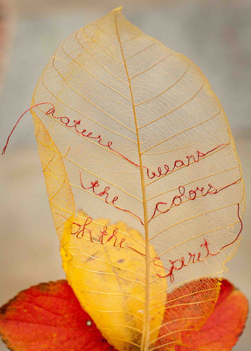 DIY Embroidered Gold Leaf. Tutorial from The idea Room here to make “leaf skeletons”, or