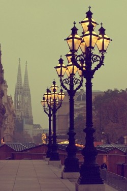 bluepueblo:  Street Lamps, Vienna, Austria photo via megan 