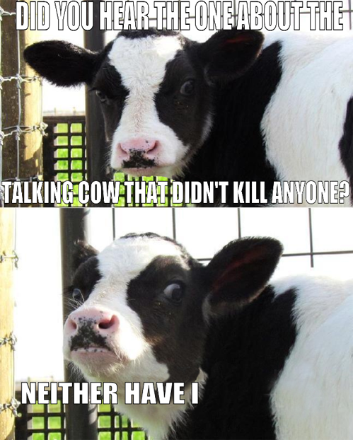 funny-pictures-uk:  Run! 
