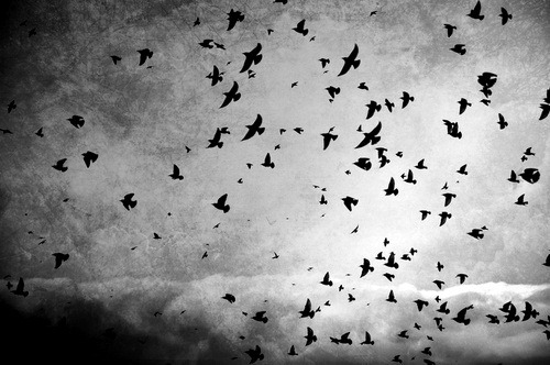 hell was the journey but it brought me heaven