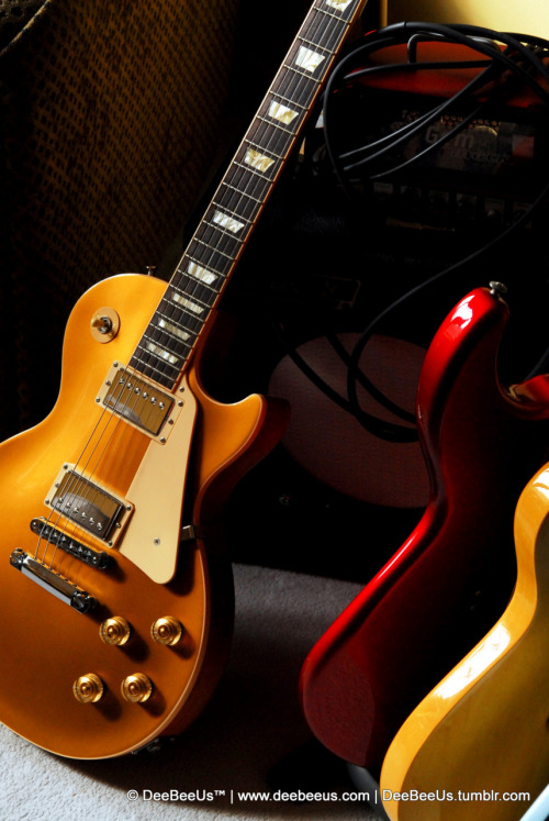 deebeeus:  There is nothing like an autumn sun to show off how pretty a Gold Top is! 2010 Gibson USA Les Paul Traditional Gold Top, in my living room, Toronto Canada, October 29, 2011.