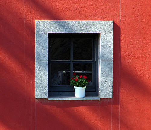 strawberry-bubbles:  SINGULAR by EULALIA2010 