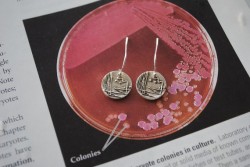 scientistintraining:  Petri dish earrings