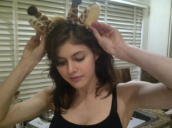 @AADaddario