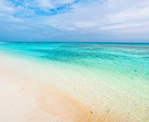 honolulu-sunshine: