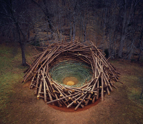 Clemson Clay Nest installation by Nils-Udo, South Carolina’s Botanical Garden, 2005