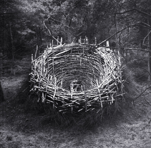 Porn photo The Nest, Lineberg Heath, Germany installation