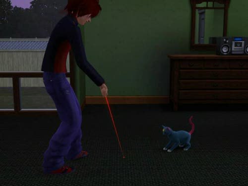 sanctimony:  pokesims:  Here’s a video of Silver and Sneasel playing with a laser