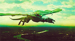 Draco Dormiens Nunquam Titilandus