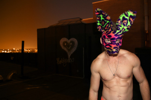 Porn photo Rooftop Bunny - Brooklyn, NY 2011 - Alexander