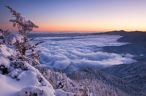Mount Leconte Winter | Great Smokies, Tennessee© Light of the Wild