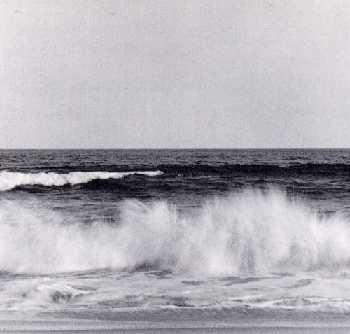 themapplethorpe: Waves, 1980