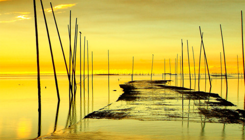 llbwwb:Follow the yellow brick road :)  (via Smashing Picture)
