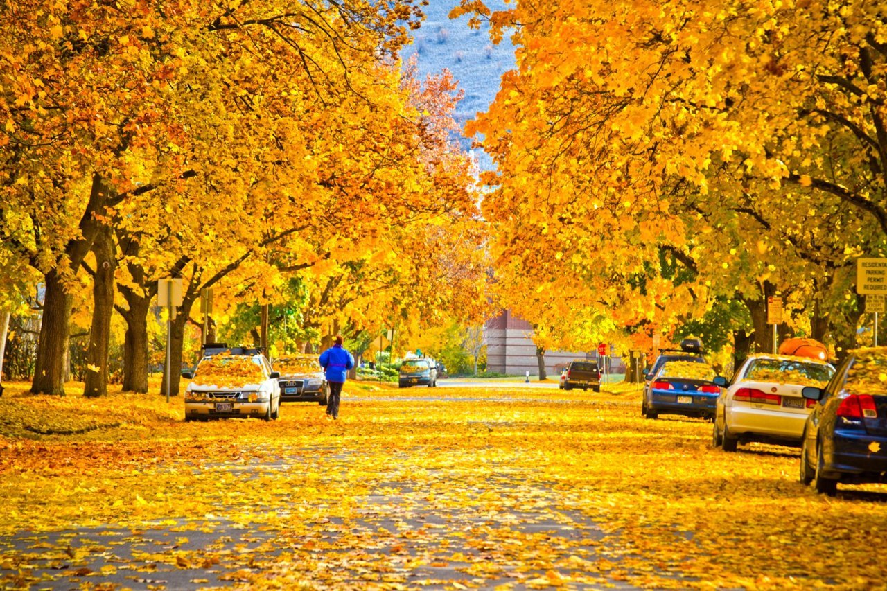 firefighter-writer:
“Nothing beats a good fall day in Missoula…
”