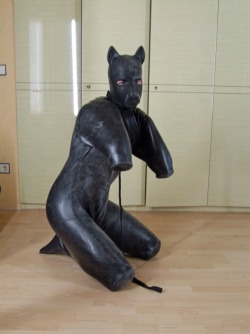 nice rubber gimp pup suit!