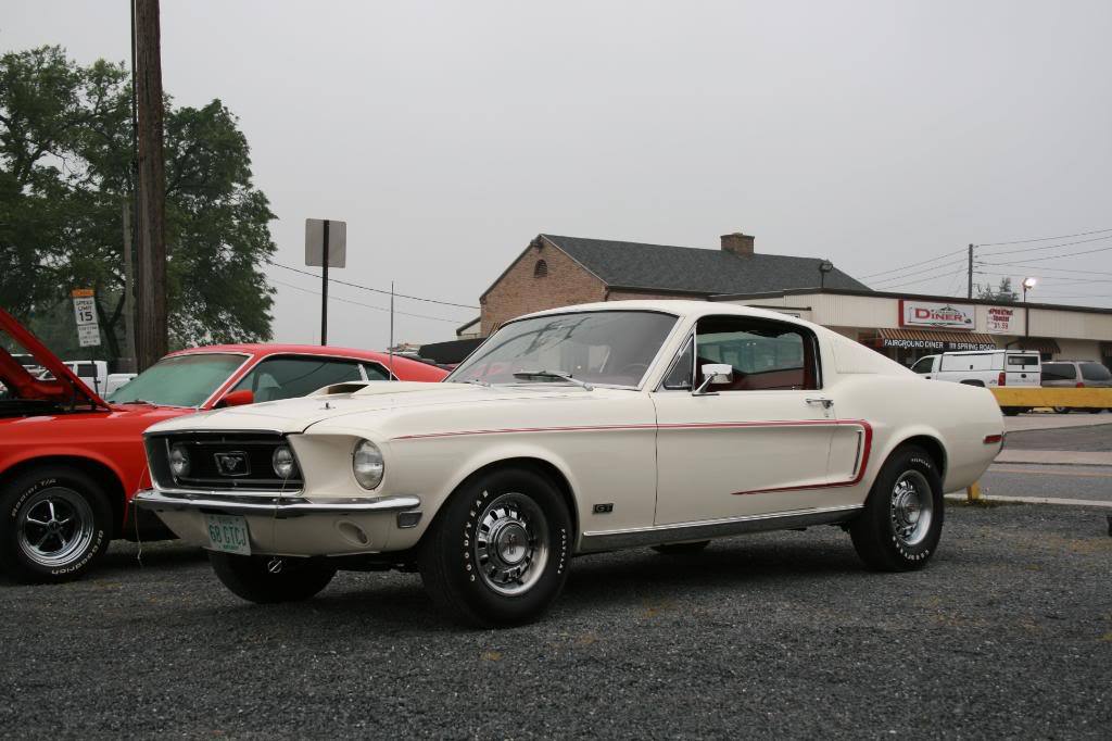 Muscle Car Dreaming