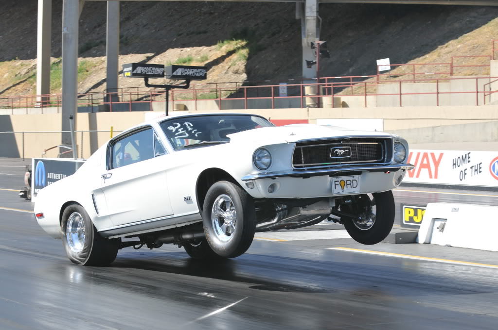 Muscle Car Dreaming