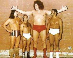 Andre The Giant