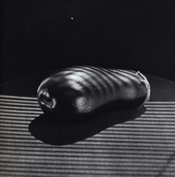 themapplethorpe:  Eggplant, 1985   emojiiiiii!!!!