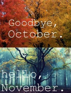 ckcimagery:  Goodbye, October. hello, November.