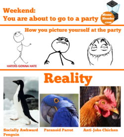 ragecomicarchive:  Meme Comic - Party For those unaware of these animals you can see them in action here: Socially Awkward Penguin Paranoid Parrot Anti-Joke Chicken  I can relate… 