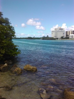 allofourdreams:  Jupiter, FL - a great fishing spot! :D