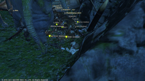 FFXIV_1319682162 on Flickr.
Gobbue ambush in Natalan!