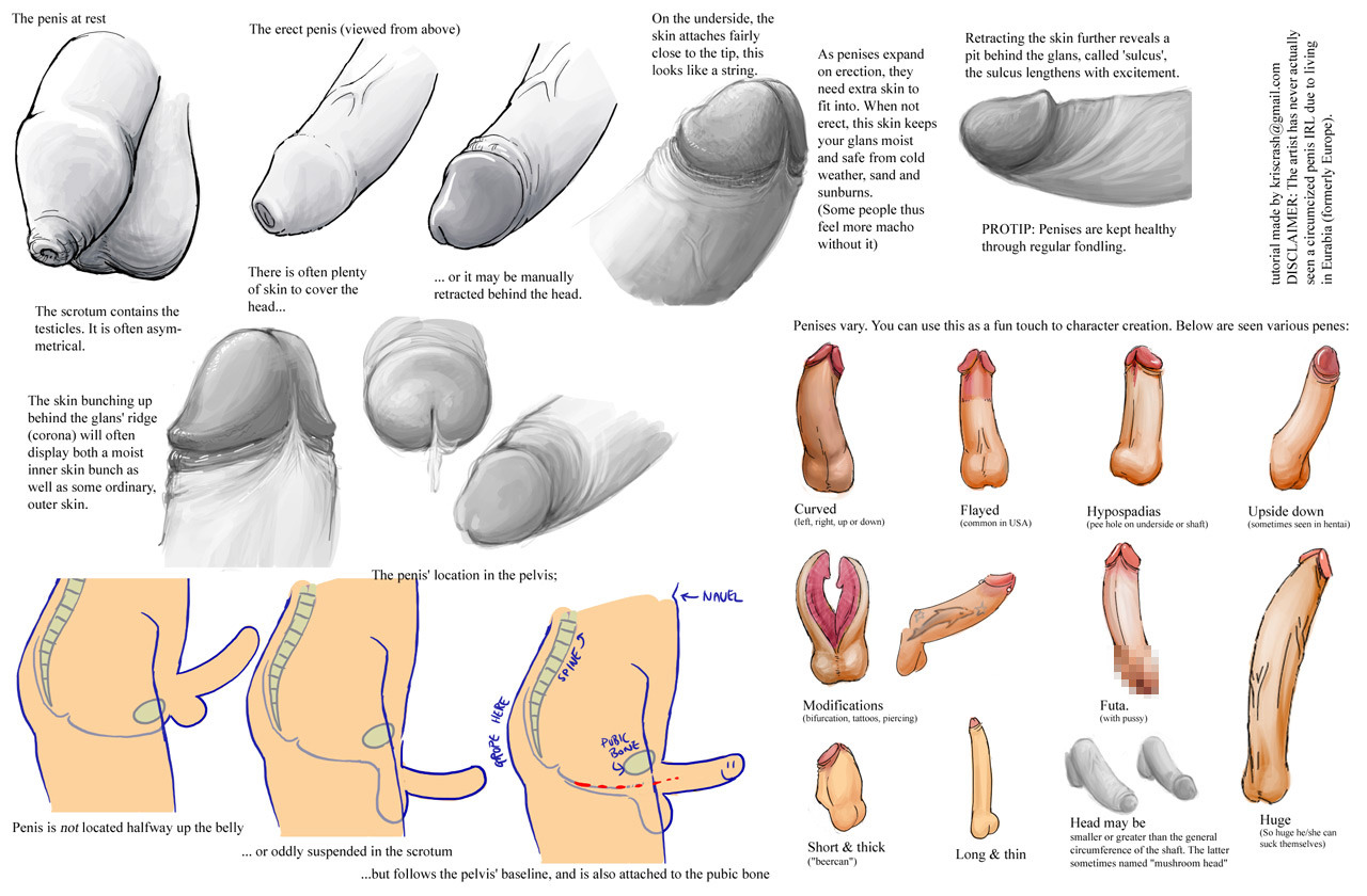 How to make penis thick