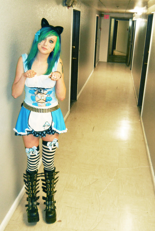 plasma-pet:  this is halloween, everybody make a scene. alice in wonderland costume