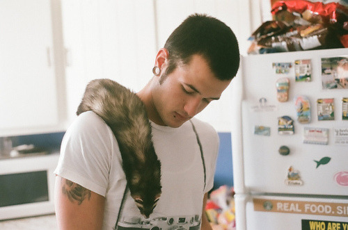 love
