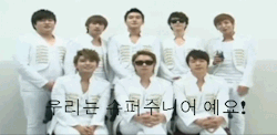 Pumpkincho:   06.11.2005 - 06.11.2011 Thank You Super Junior For Working So Hard