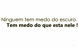 O garoto do blog