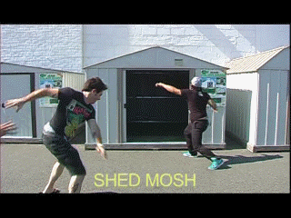 That’s not mosh. That’s hardcore dance. Turtle still approved though.