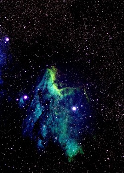 onelightyearfromyou:  IC 5070 / Nebulosa