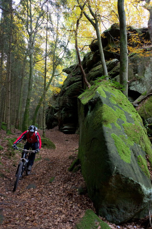 chirosangaku: MTB-News.de | IBC Mountainbike Forum - 11.Kalenderblatt (Oktober) KBU Kalender 2012