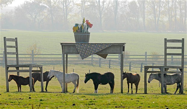 allcreatures:  Horses stand in the shadows of a gigantic wooden table and two chairs