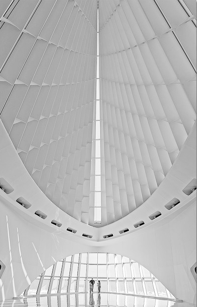 fiore-rosso:  ,santiago calatrava 