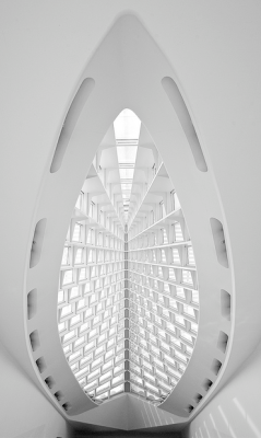 fiore-rosso:  ,santiago calatrava   Hm.