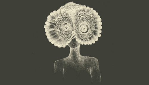 http://universemind.tumblr.com/post/12249794110