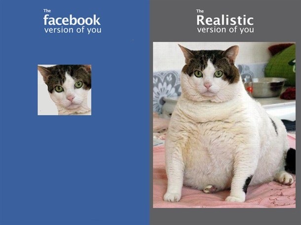 santi12321:  for all those cat lovers……victoria and alex. lol   heheh :3