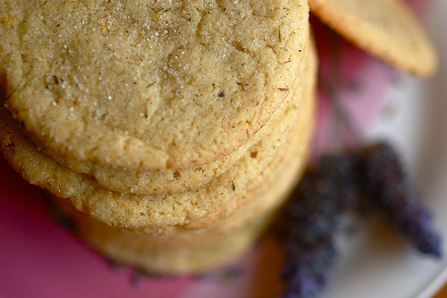 Lemon Lavender Cookies
A simple sugar cookie with hints of lemon and lavender.