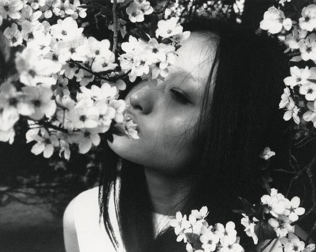 diafano:  “Where have all the flowers gone?” - Liu Xu photographed by Lina Scheynius