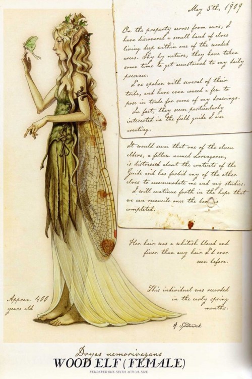 thefaeryhost:Toni Diterlizzi  __  Spiderwick Chronicles