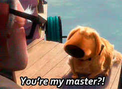 hereforpizza:  accioharo:  surlelac:  #there are films about dogs #and books about