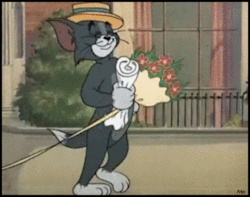  Tom and Jerry - Casanova Cat (1951) 