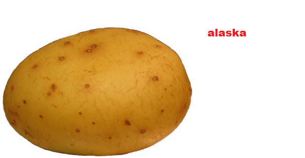 rabenacohmalani:  officiallyriana:  roooster:  what the fuck LMAO  omgf  omg LOL