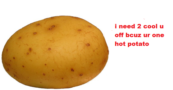 rabenacohmalani:  officiallyriana:  roooster:  what the fuck LMAO  omgf  omg LOL